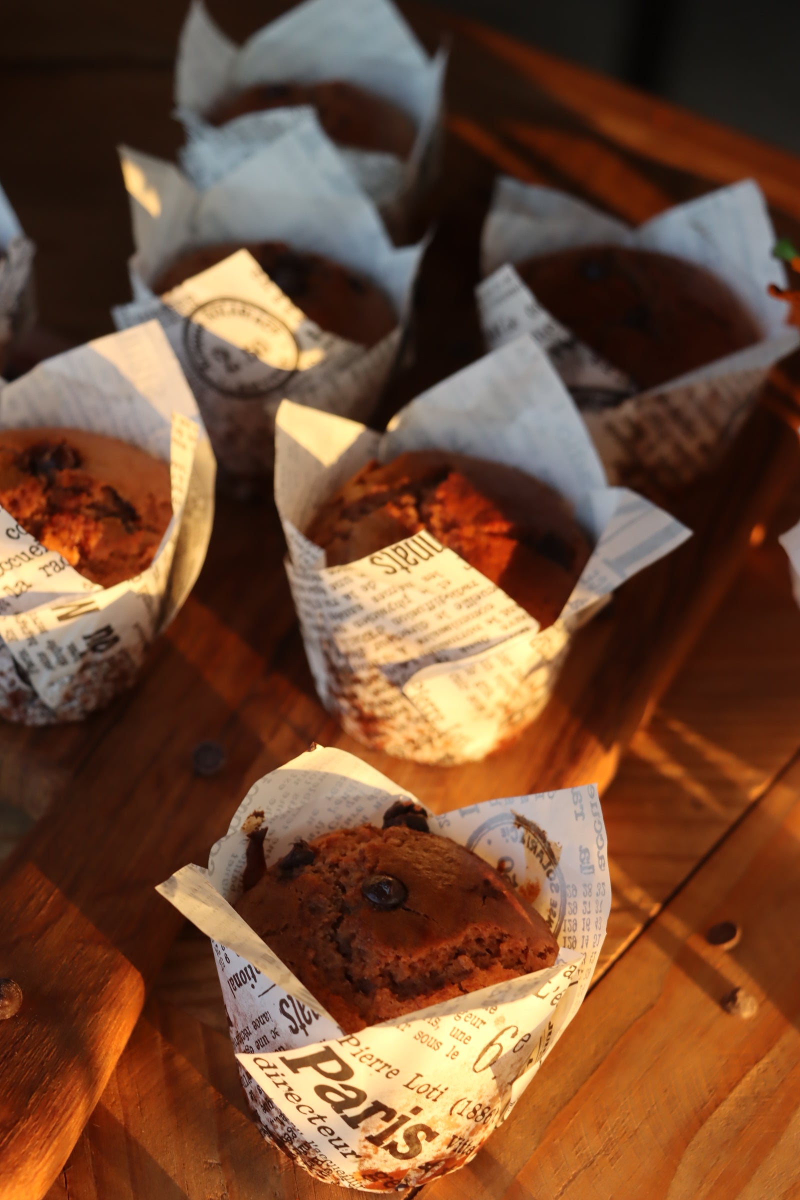Chocolate Muffins
